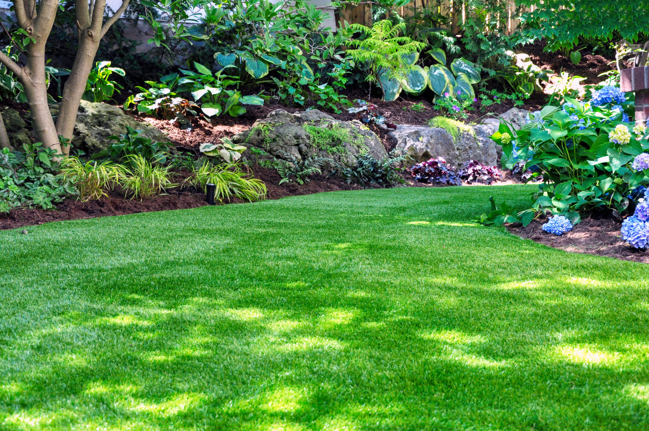 6 Landscaping Strategies to Add Instant Value to Your Home